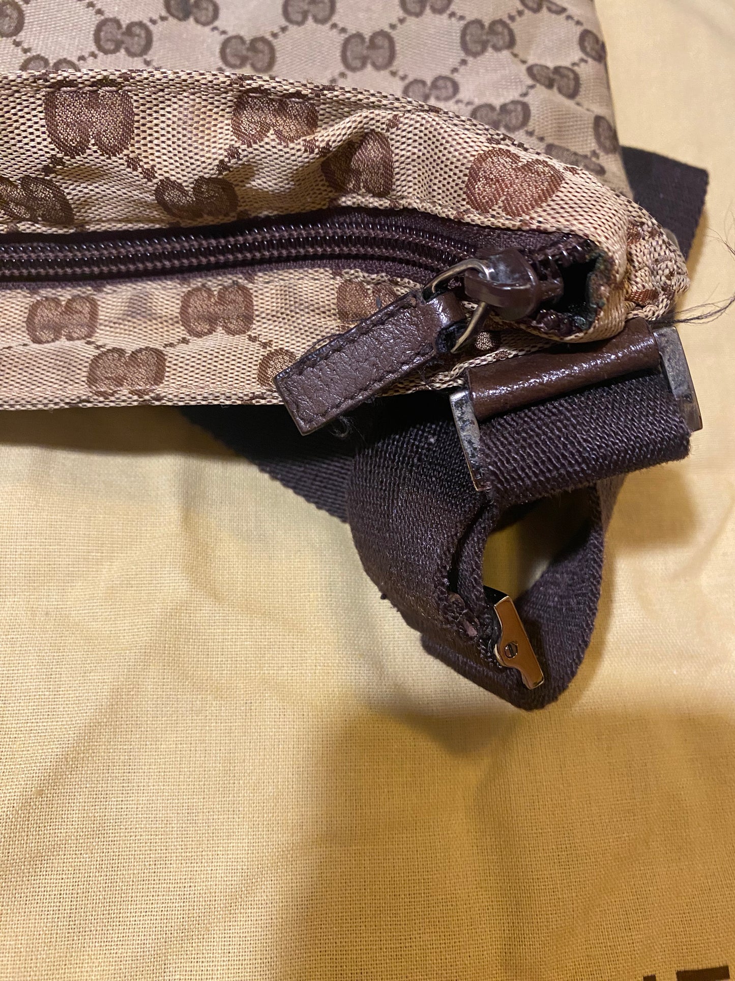 Vintage Bag: Gucci Canvas Bag