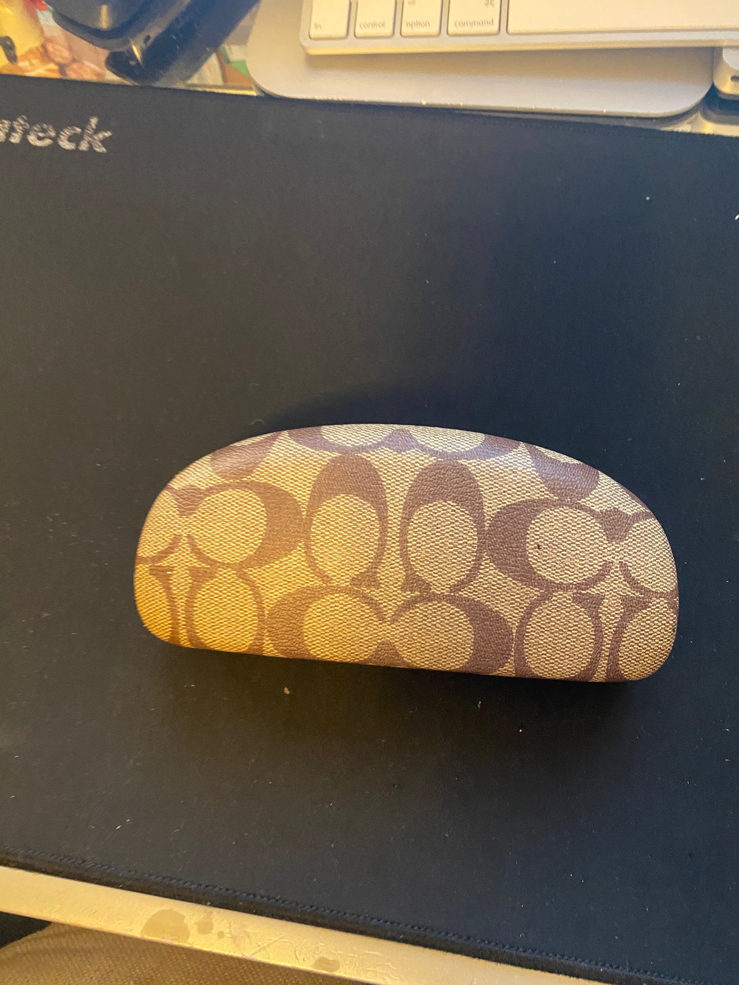 Used Accessories: Coach Sunglasses