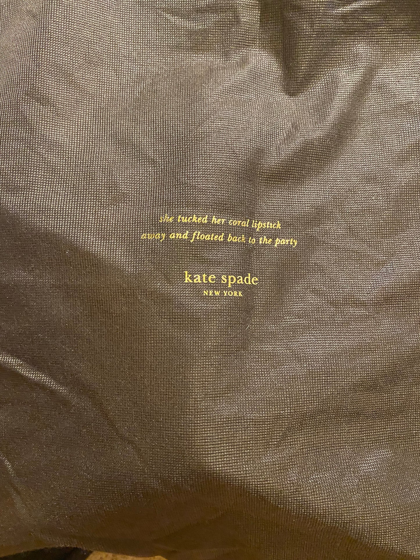 Used Bag: Kate Spade Bag